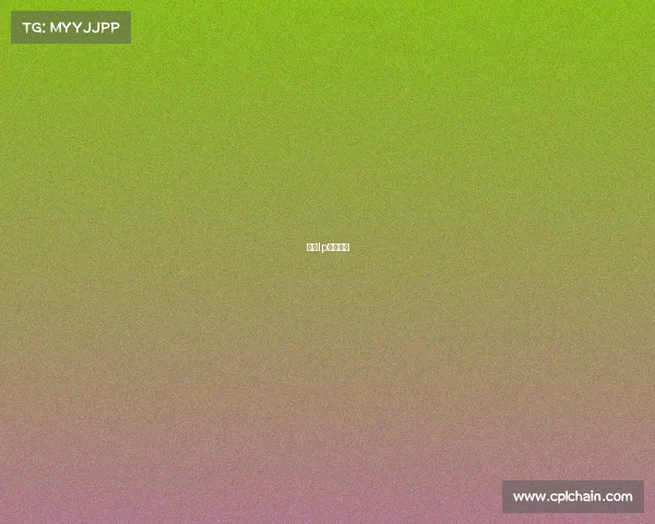 赛事lp什么意思