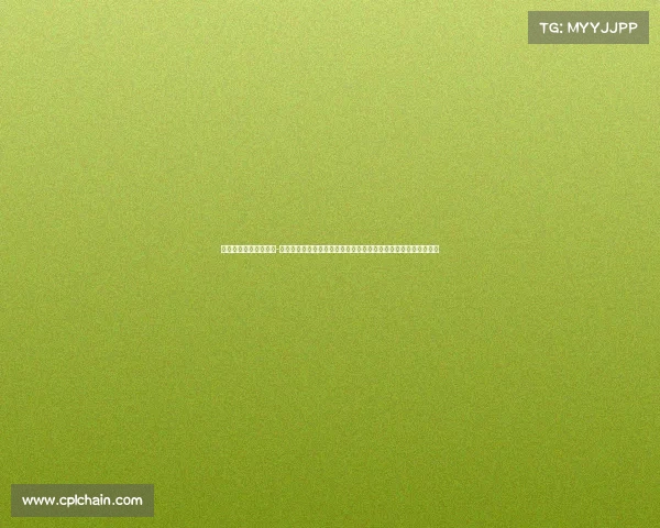 中金杯赛事流程是什么-中金杯赛事流程深度解析：报名规则、竞赛环节及评选标准全指南